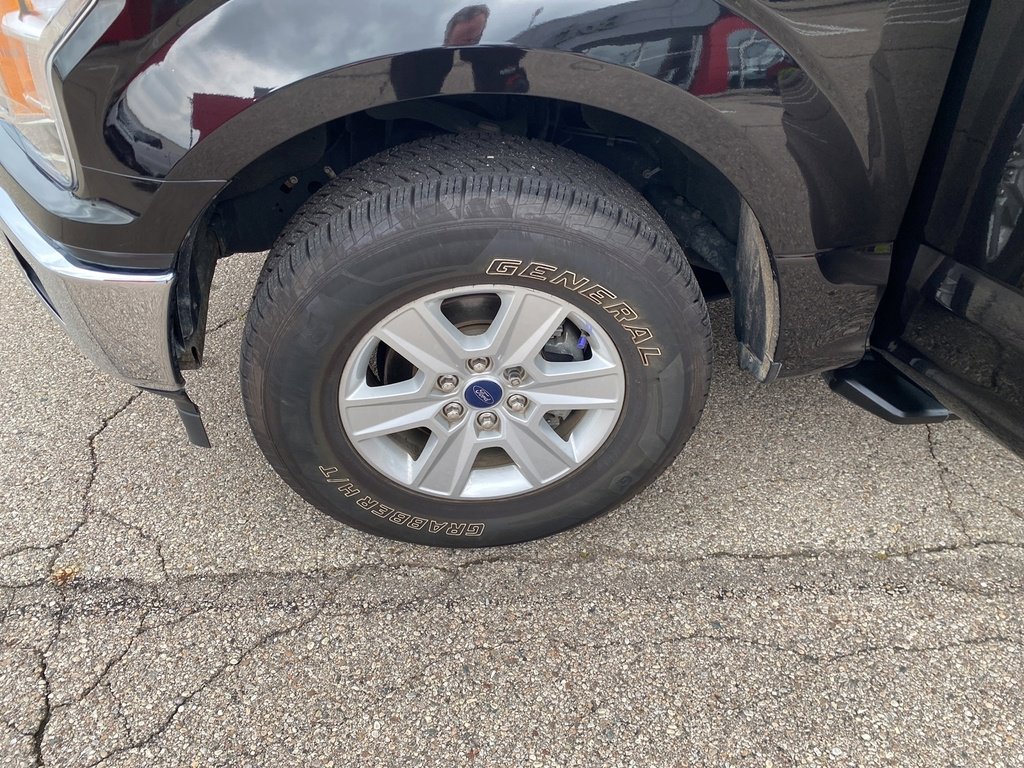 2020 Ford F-150 XL photo 20