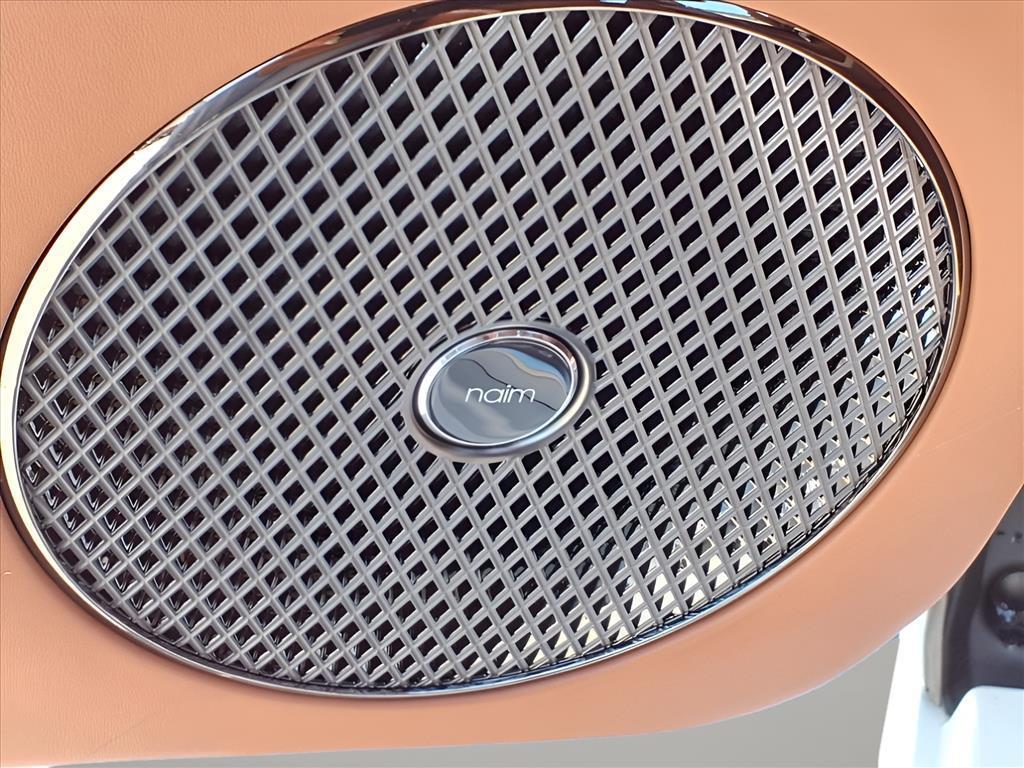 2025 Bentley Continental GT Speed photo 5