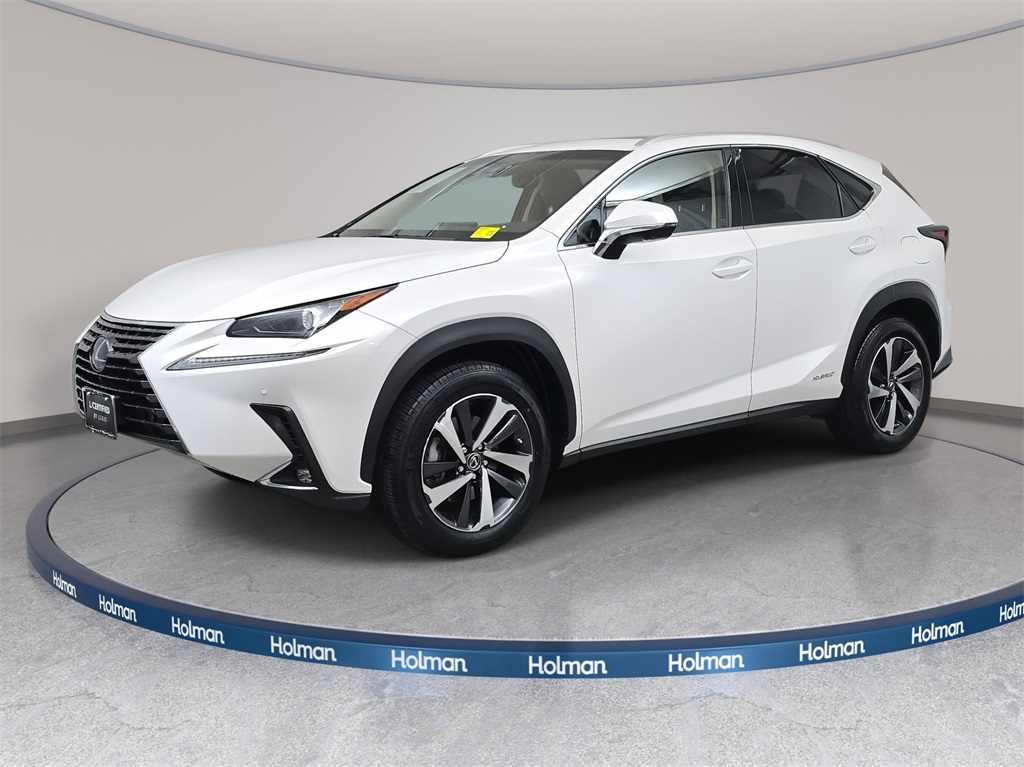 2019 Lexus NX Hybrid 300h's photo