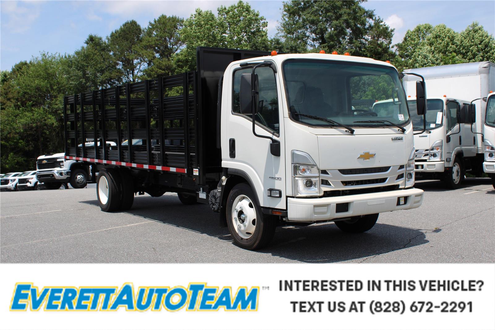 2024 Chevrolet Low Cab Forward Base's photo