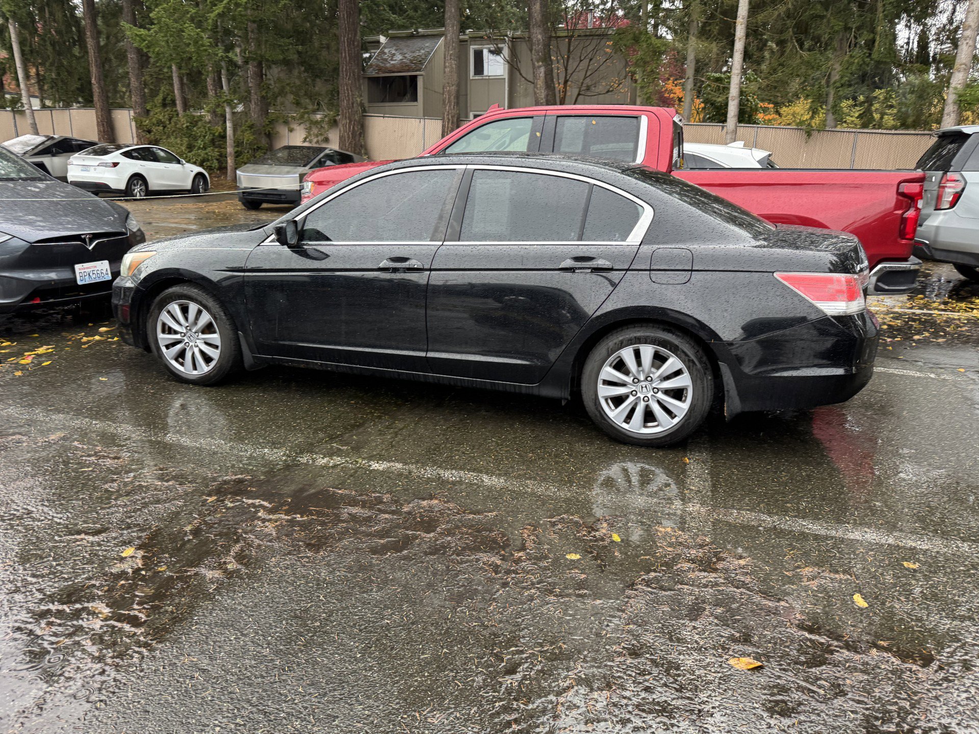 2011 Honda Accord EX