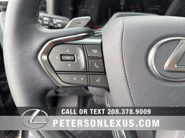 2025 Lexus LX Luxury photo 26
