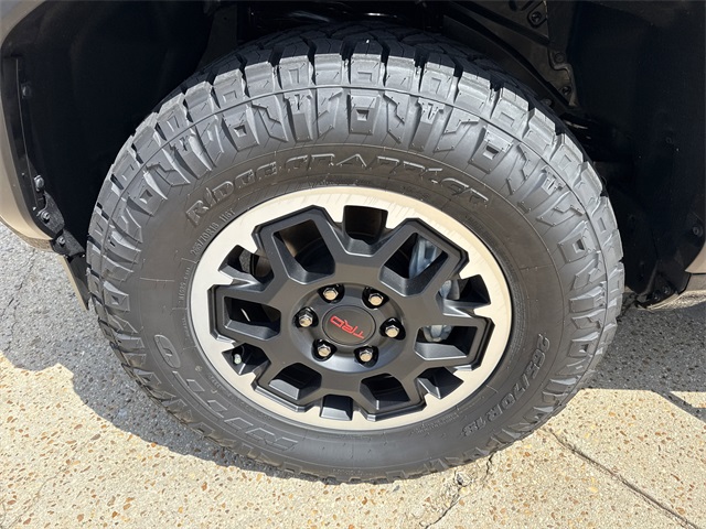 2025 Toyota 4Runner TRD Off-Road photo 9