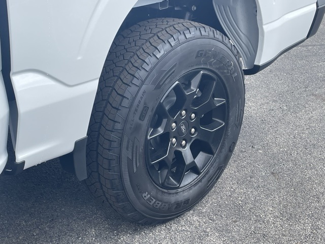 2025 Ford F-150 STX photo 4