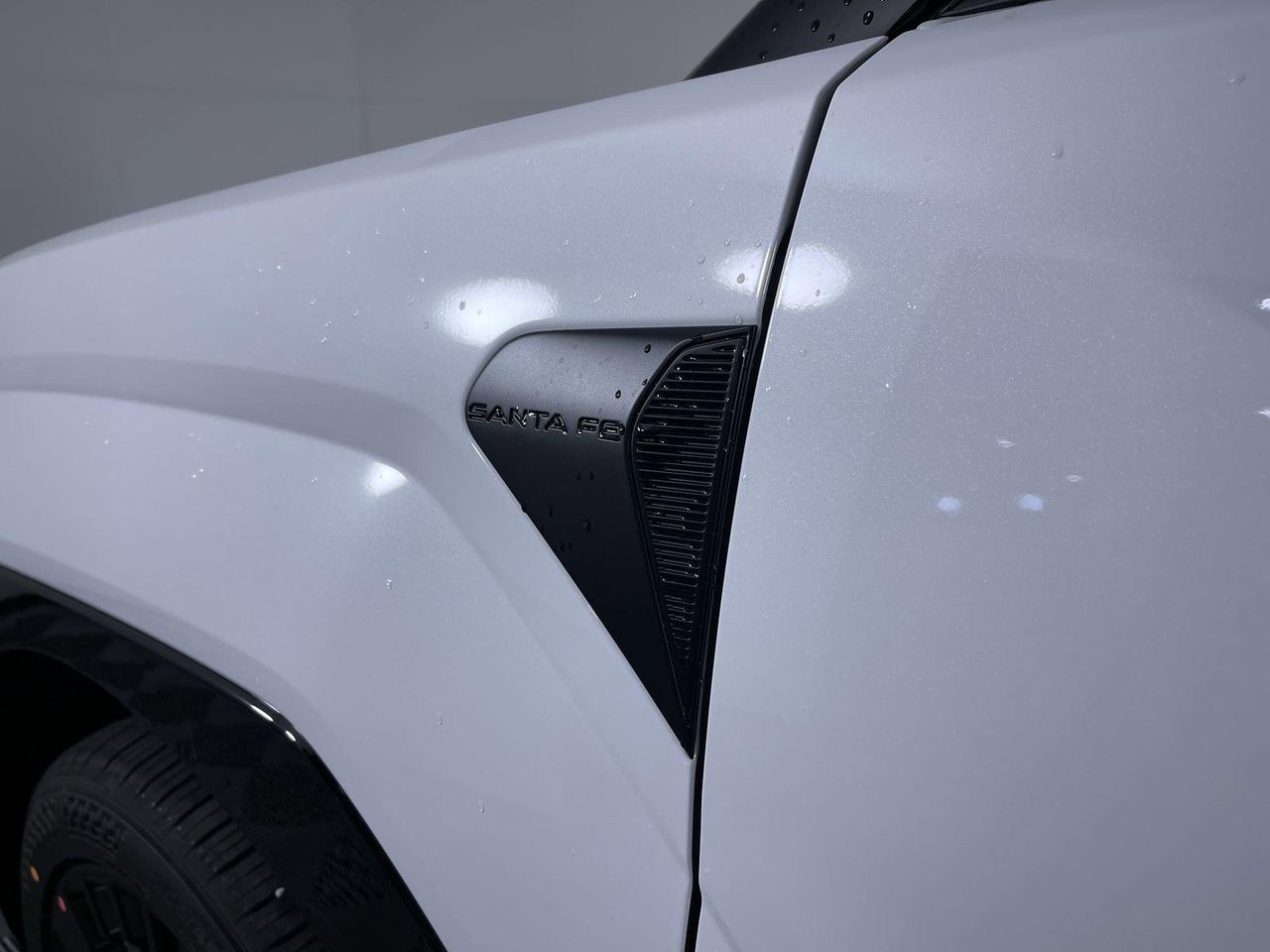 2026 Hyundai Santa Fe Calligraphy photo 9