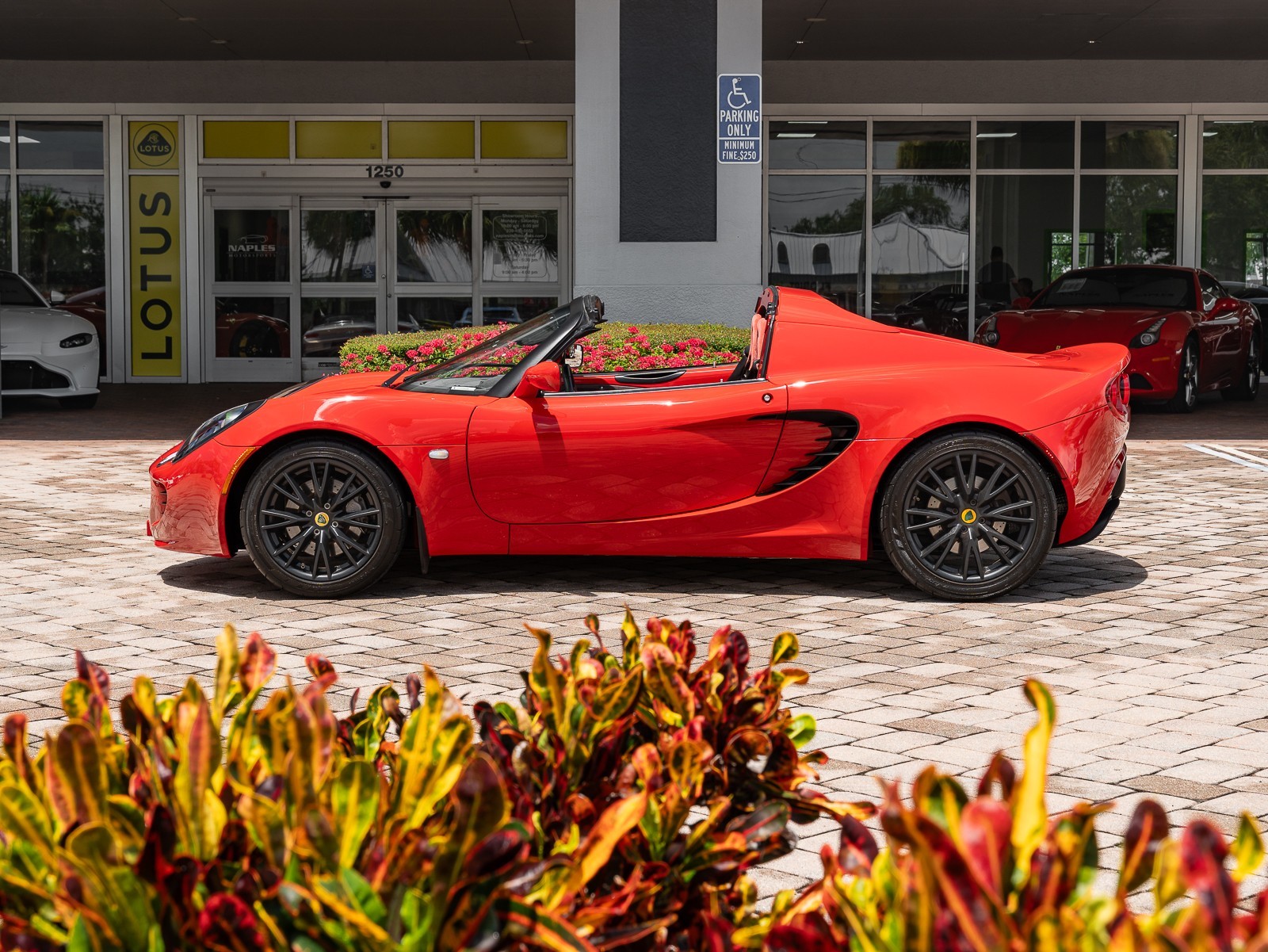 2010 Lotus Elise 111 photo 6