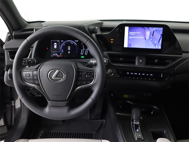 2025 Lexus UX photo 18