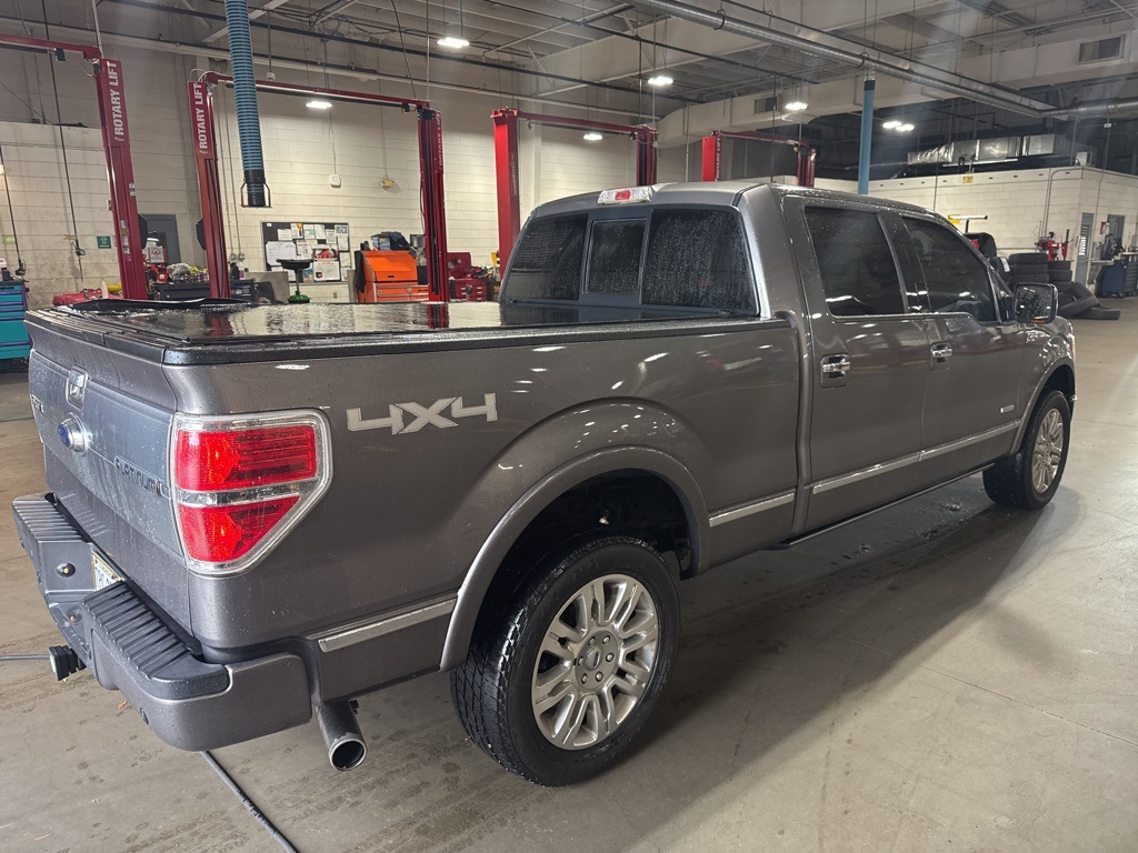 2014 Ford F-150 Platinum photo 2