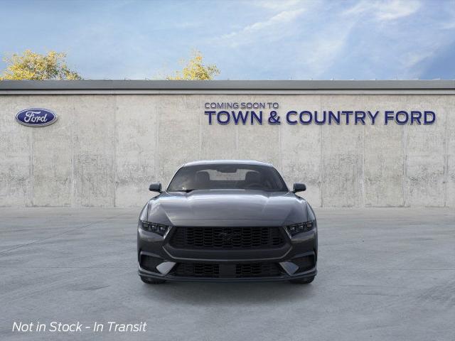 2025 Ford Mustang EcoBoost photo 16