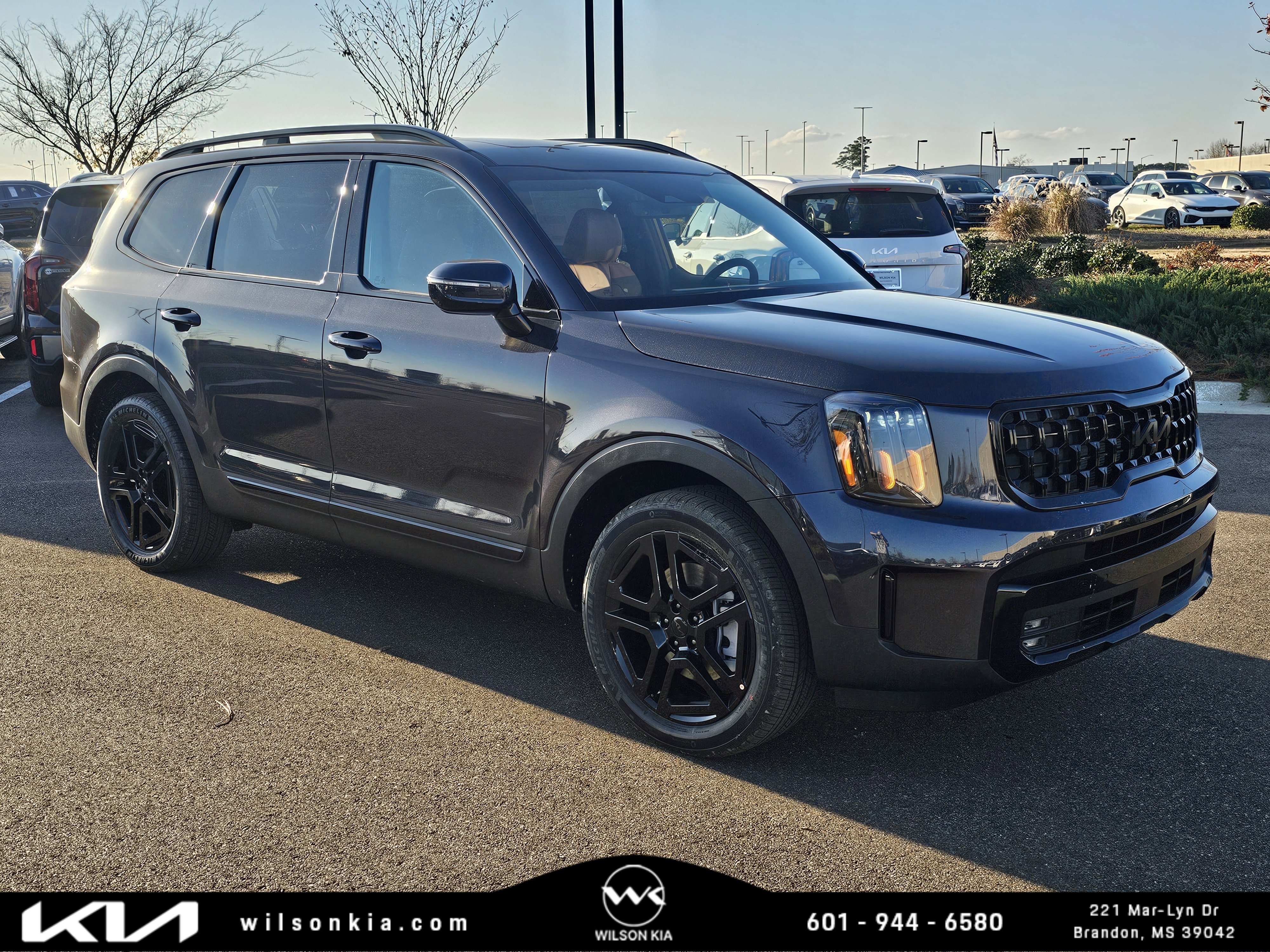 2025 Kia Telluride SX X-Line's photo