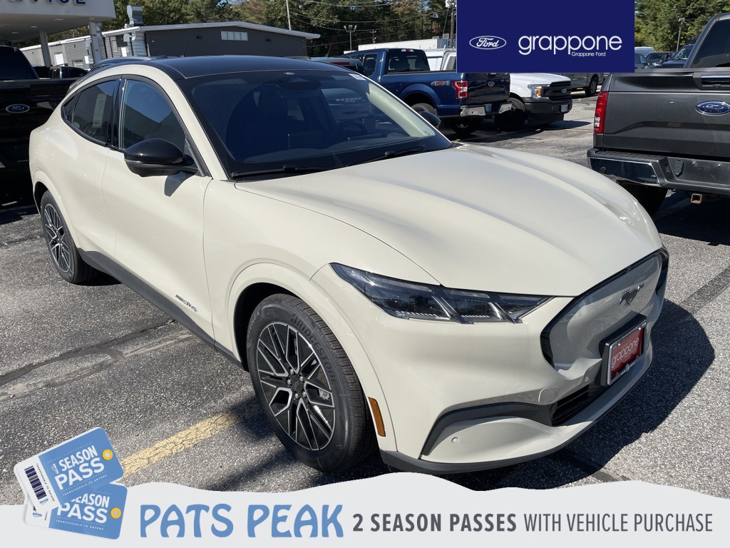 2025 Ford Mustang Mach-E Premium AWD's photo