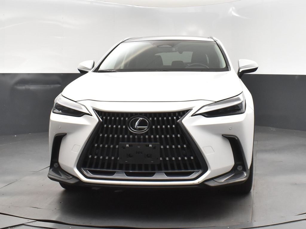 2023 Lexus NX 350 Luxury photo 10