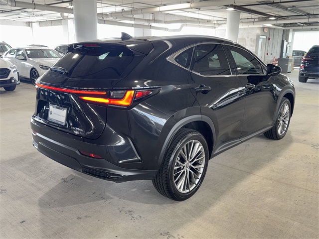 2023 Lexus NX 350h Luxury photo 7
