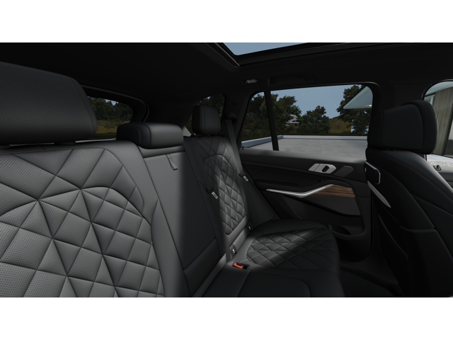 2026 Bmw X5 xDrive50e photo 11