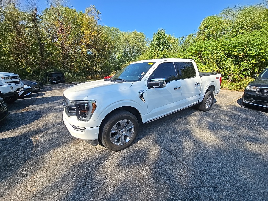 2023 Ford F-150 Platinum photo 2