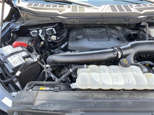 2023 Ford F-150 XL photo 20