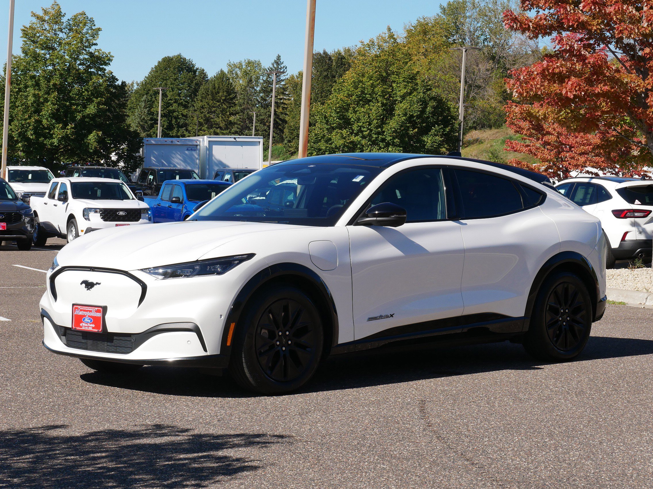 2021 Ford Mustang Mach-E Premium photo 3