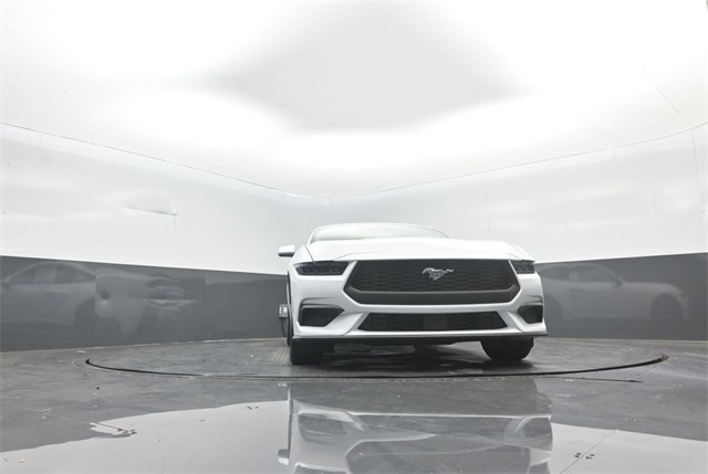 2025 Ford Mustang EcoBoost photo 25