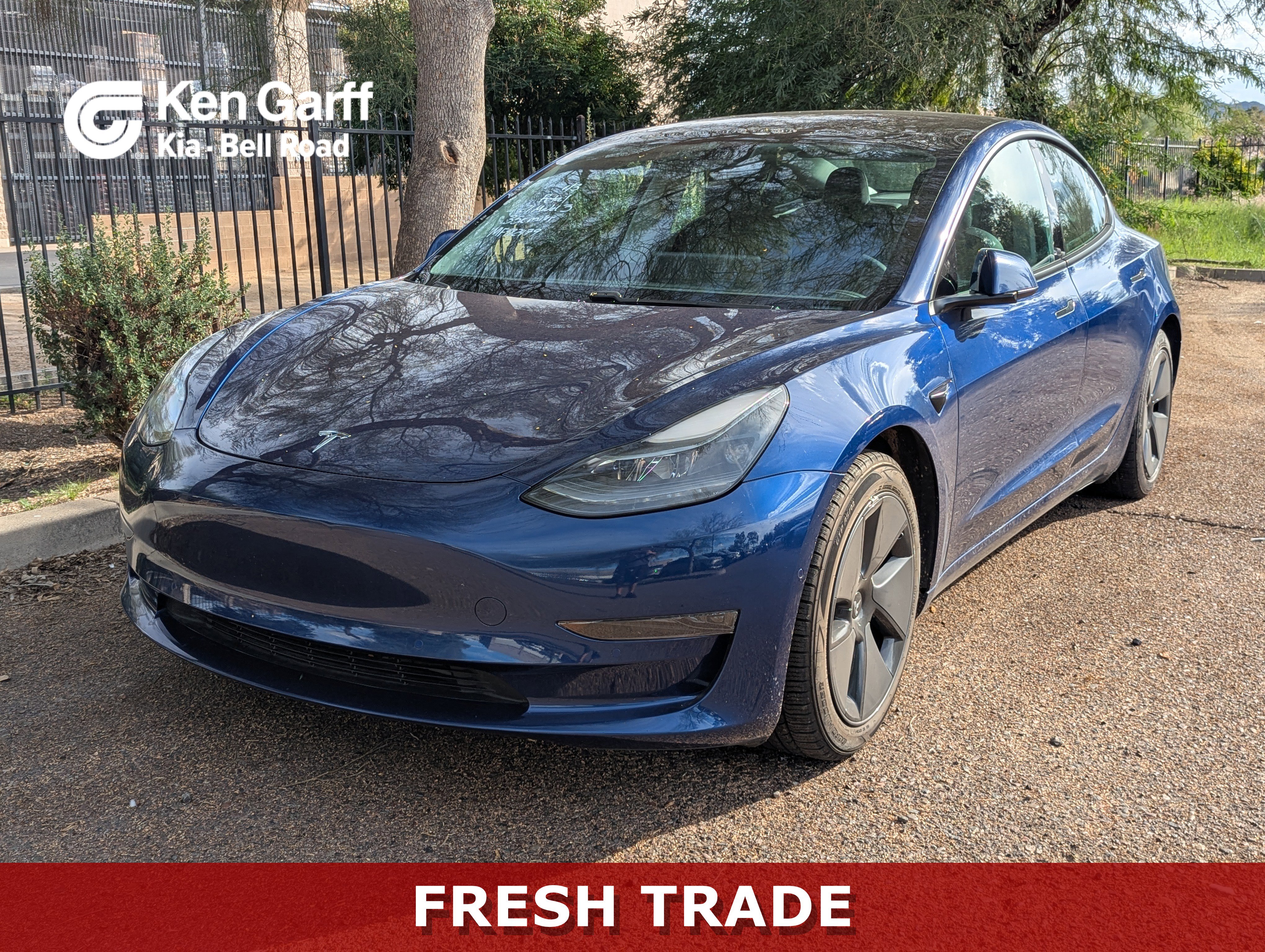 2021 Tesla Model 3 Base's photo