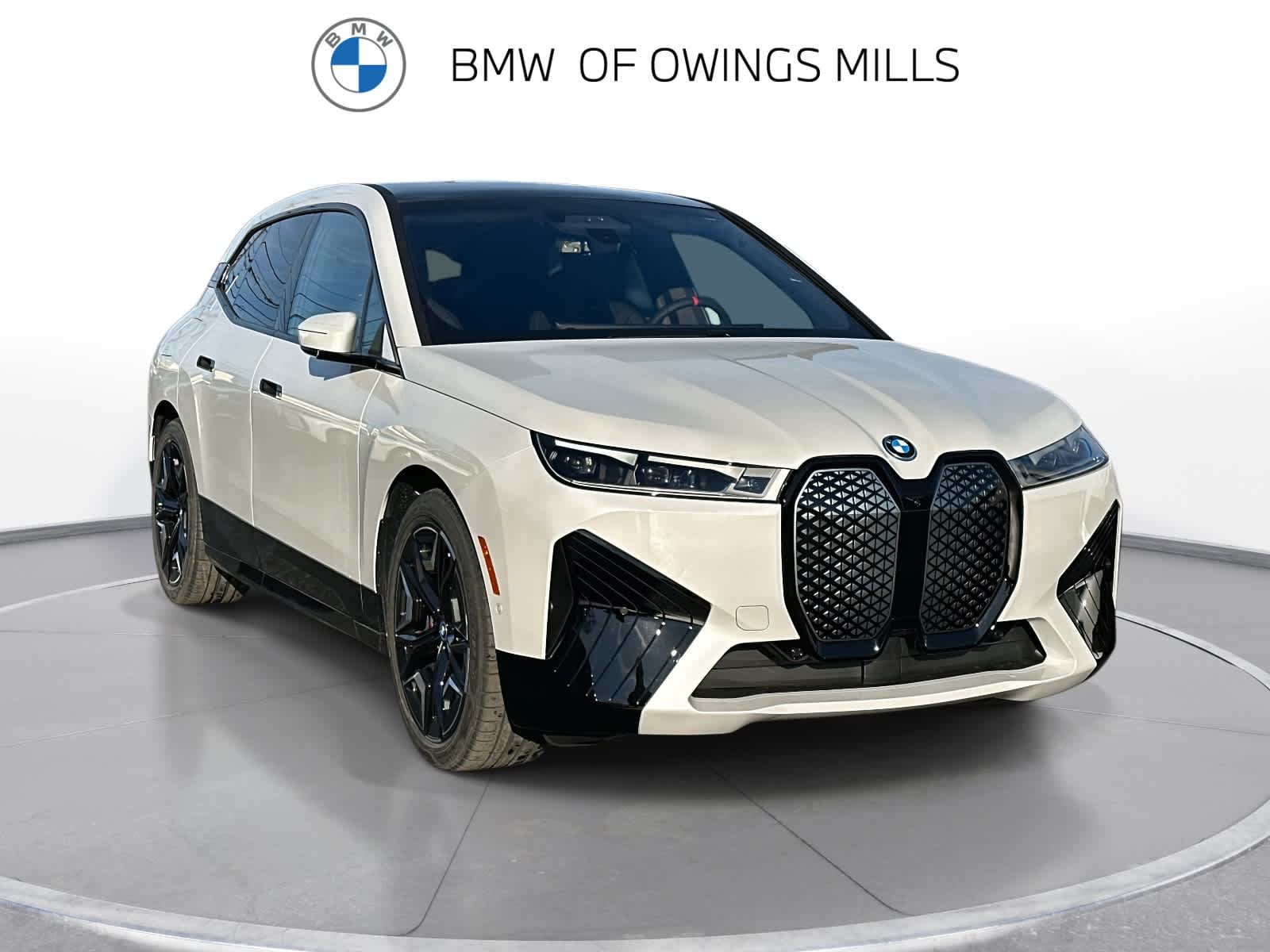 2025 BMW iX