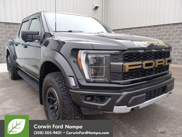 2023 Ford F-150 Raptor's photo