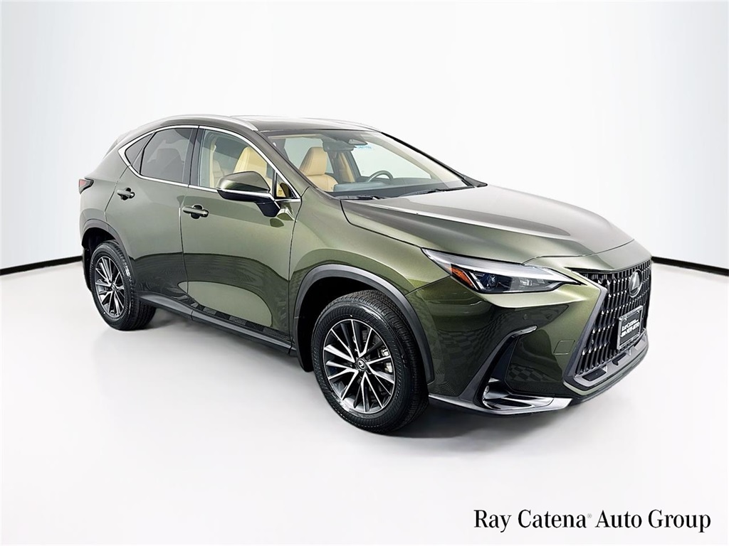 2023 Lexus NX 350's photo