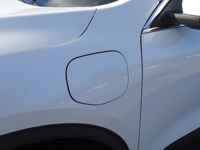 2024 Ford Escape Plug-In Hybrid photo 4