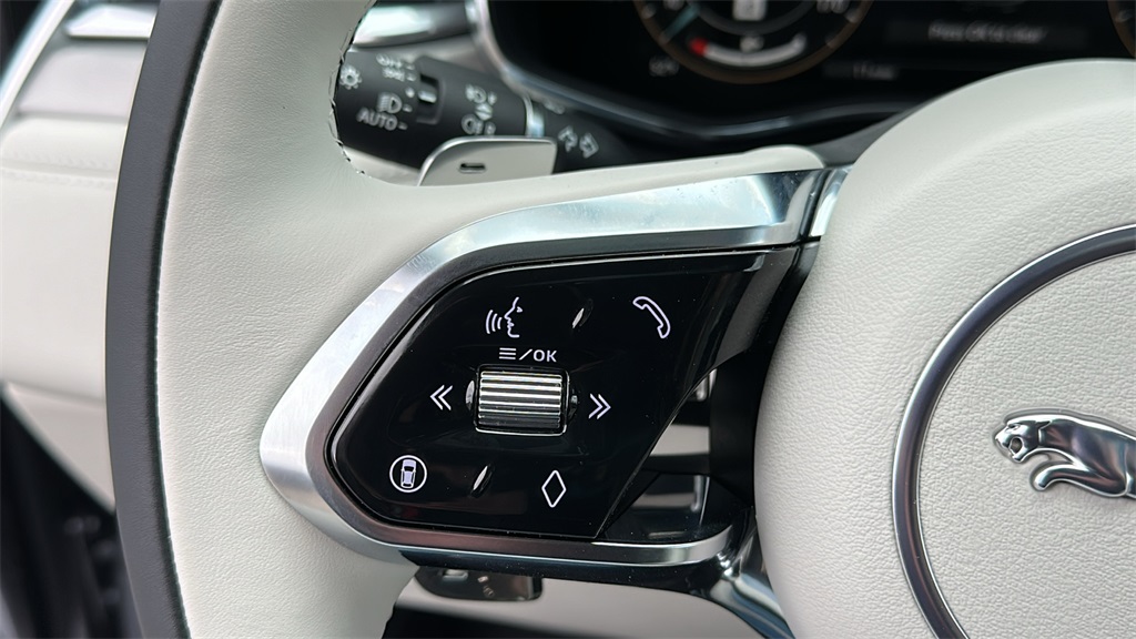 2026 Jaguar F-PACE P250 R-Dynamic S photo 14
