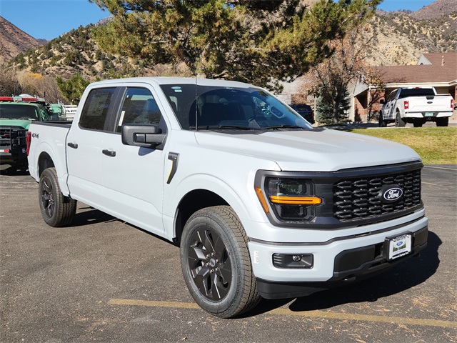 2025 Ford F-150 STX's photo