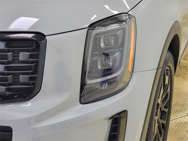 2022 Kia Telluride EX photo 10