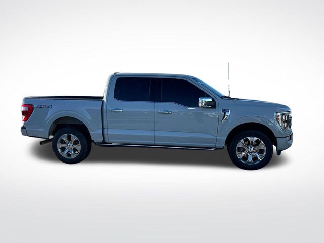 2023 Ford F-150 Platinum photo 4