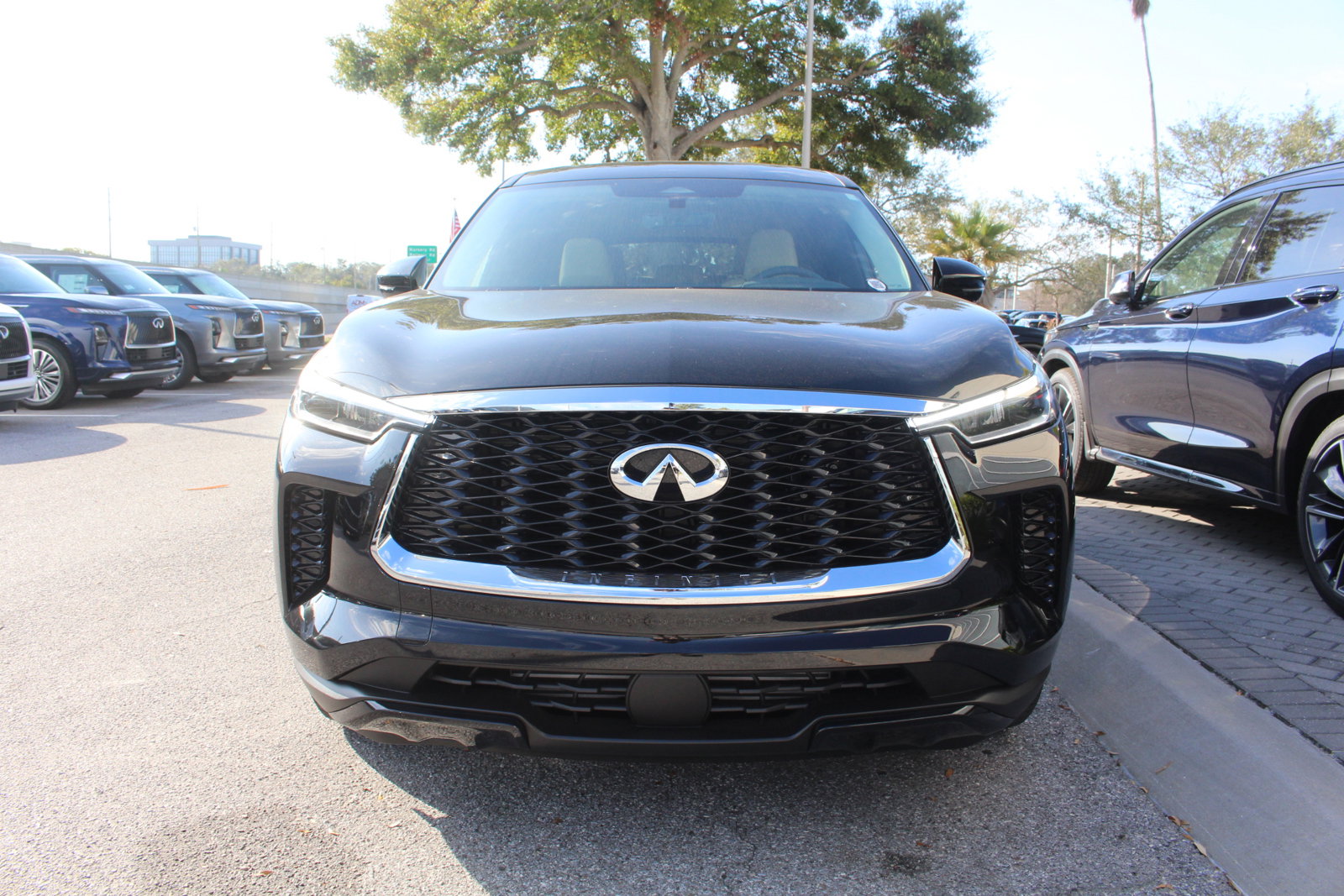 2025 Infiniti QX60 Pure photo 8
