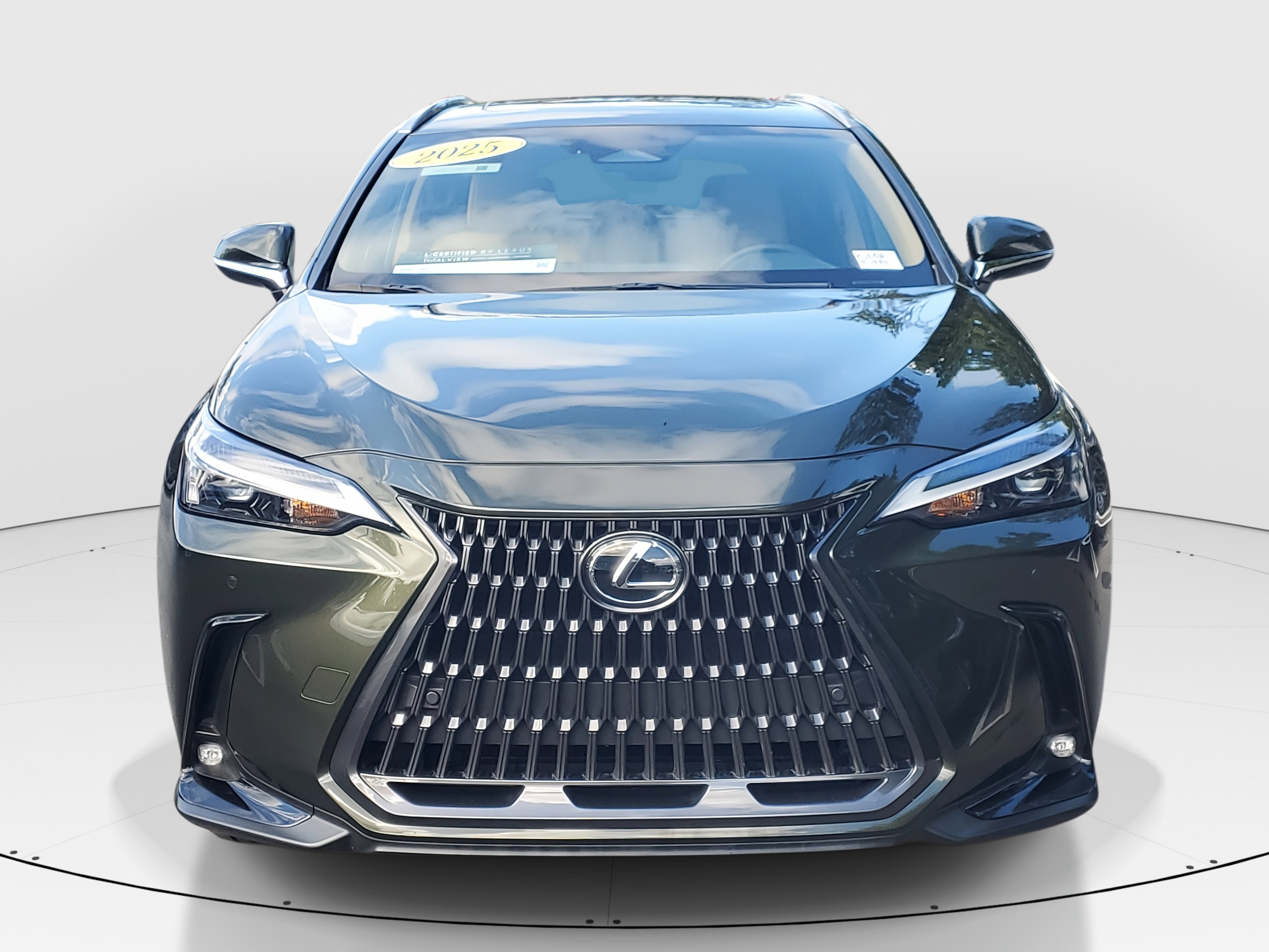 2025 Lexus NX 250 Premium photo 3