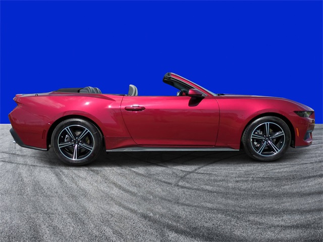 2025 Ford Mustang EcoBoost Premium Convertible photo 2