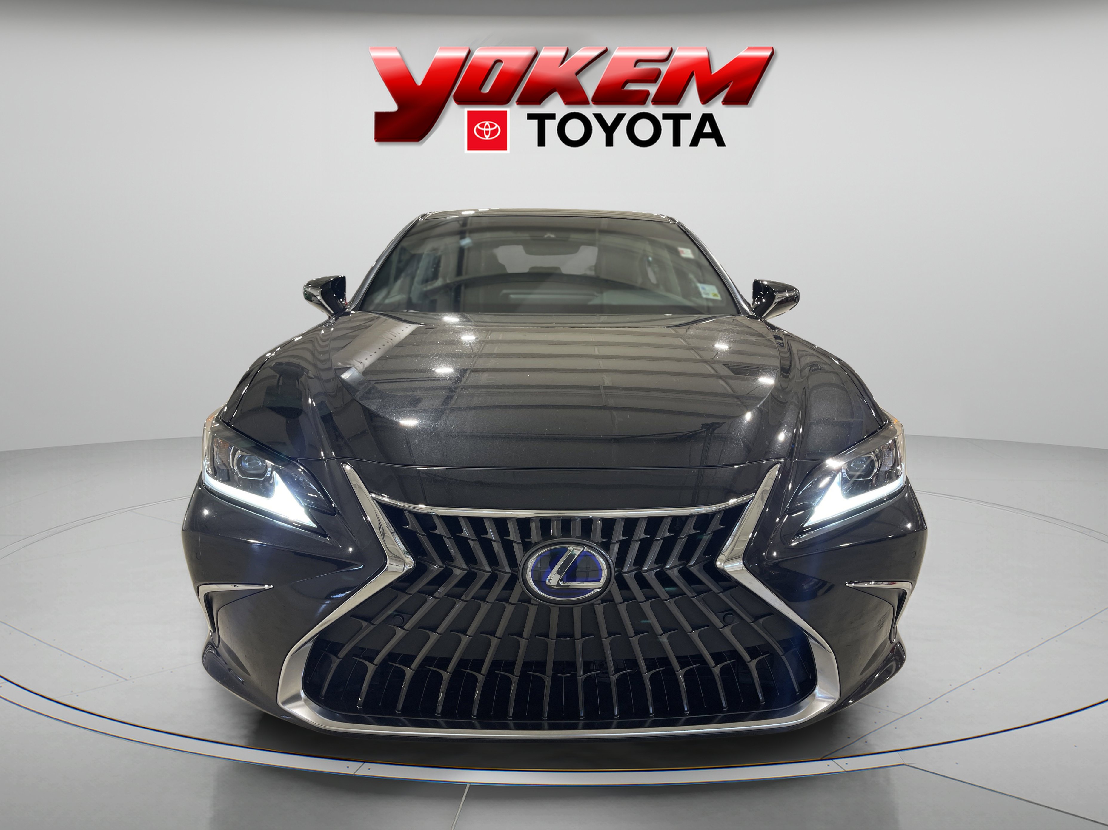2022 Lexus ES 300h photo 6