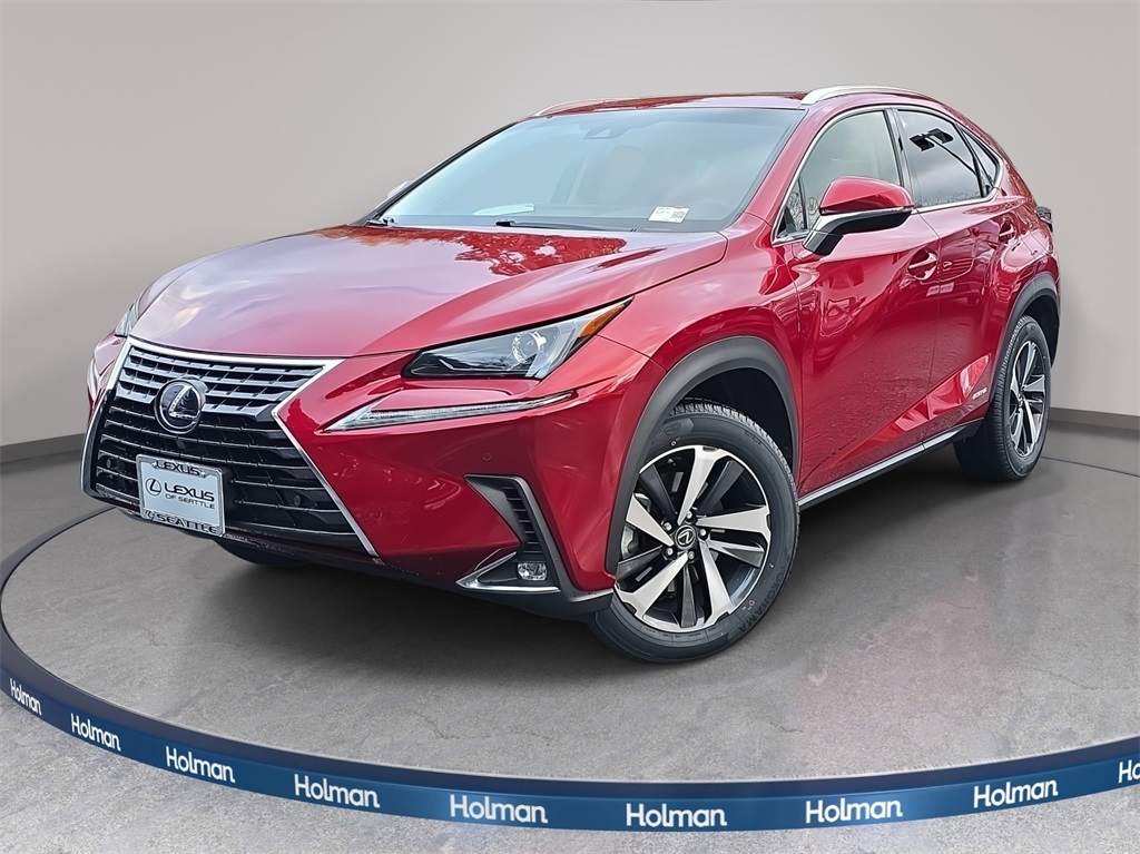 2018 Lexus NX 300h's photo