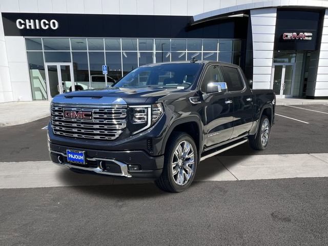 2025 Gmc Sierra 1500 Denali photo 3