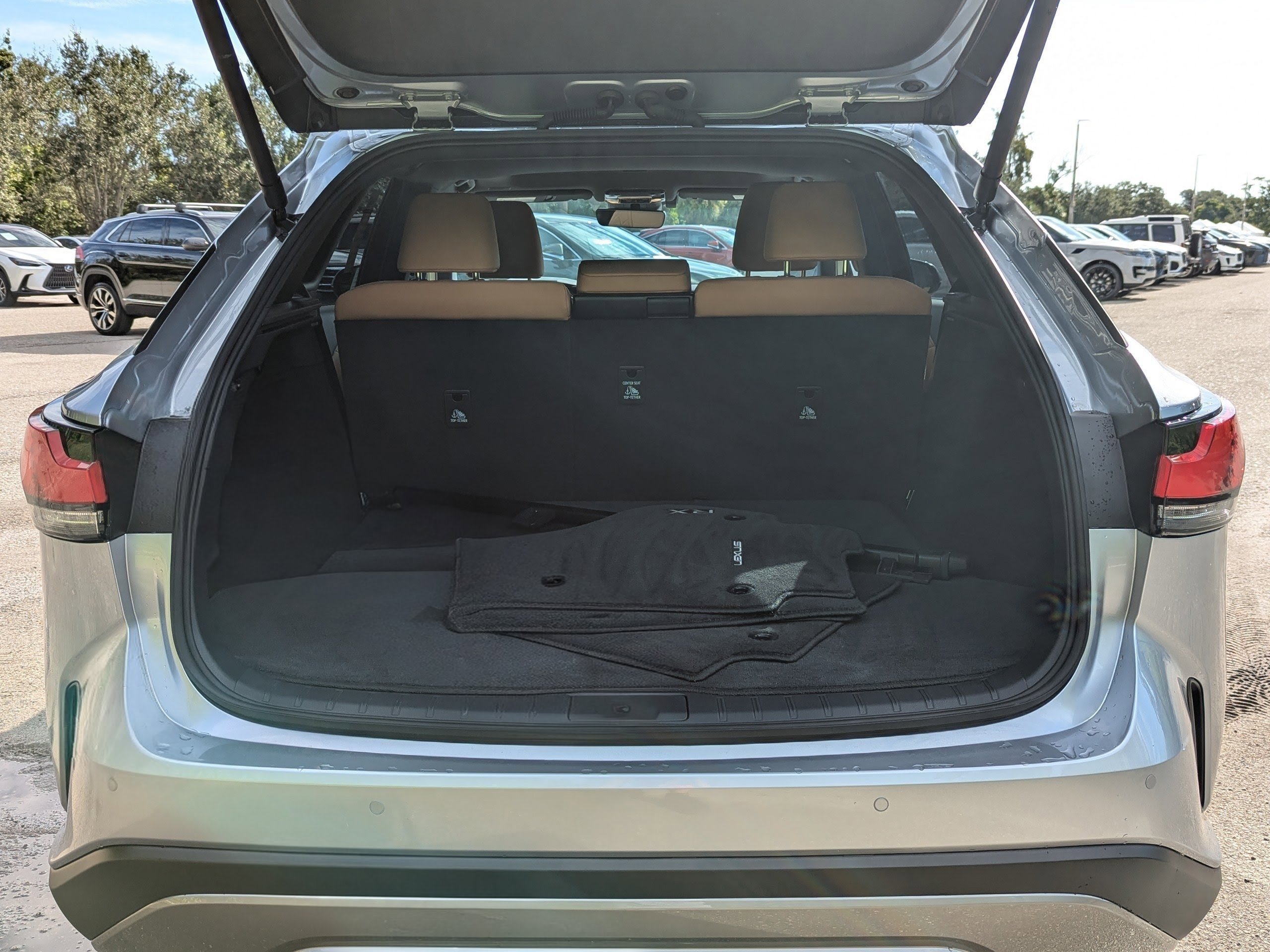 2025 Lexus RX 350 photo 11