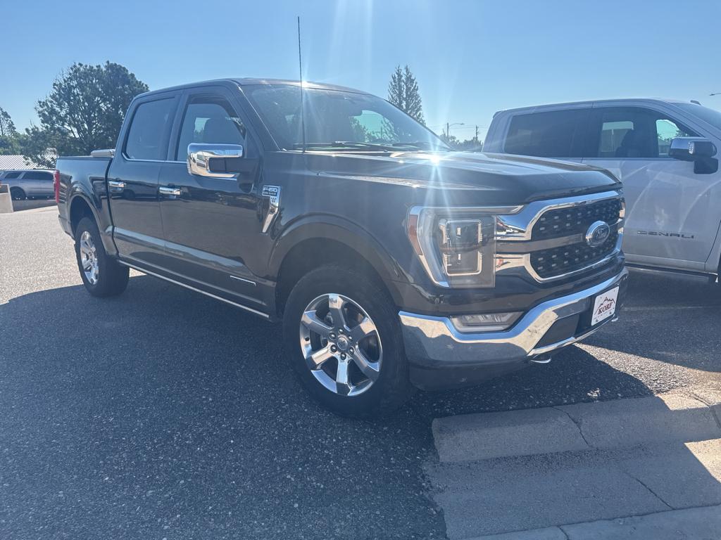 2021 Ford F-150 King Ranch photo 2