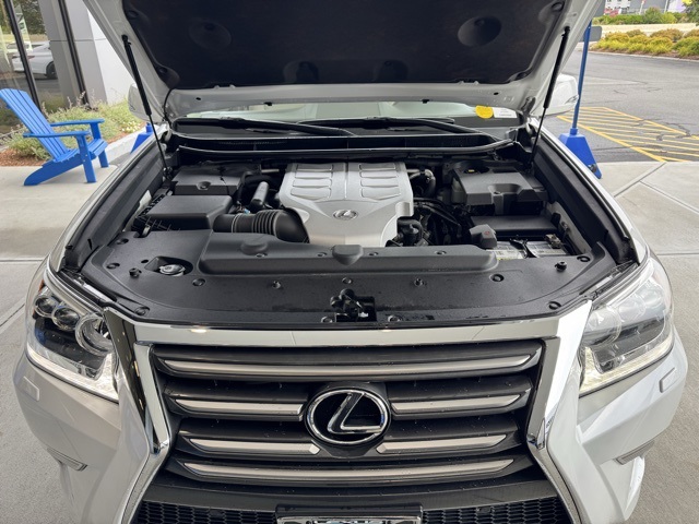 2018 Lexus GX 460 photo 10