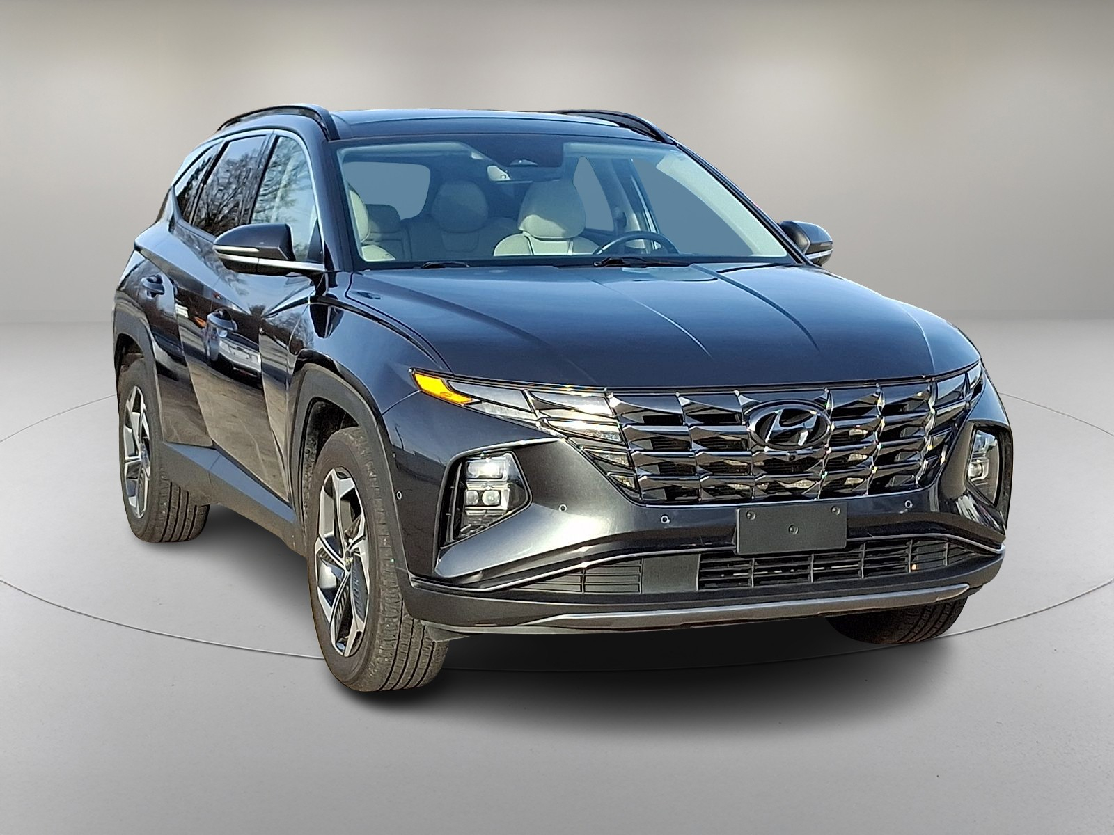 2024 Hyundai Tucson Limited photo 2