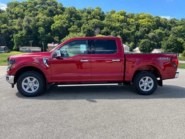 2025 Ford F-150 XLT photo 8