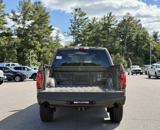 2025 Ford F-150 STX photo 6