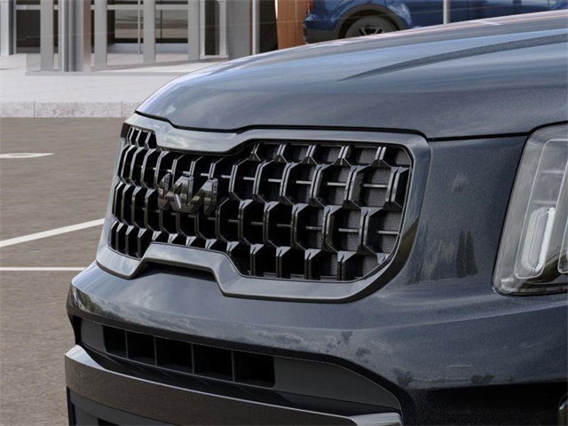 2025 Kia Telluride EX X-Line photo 10