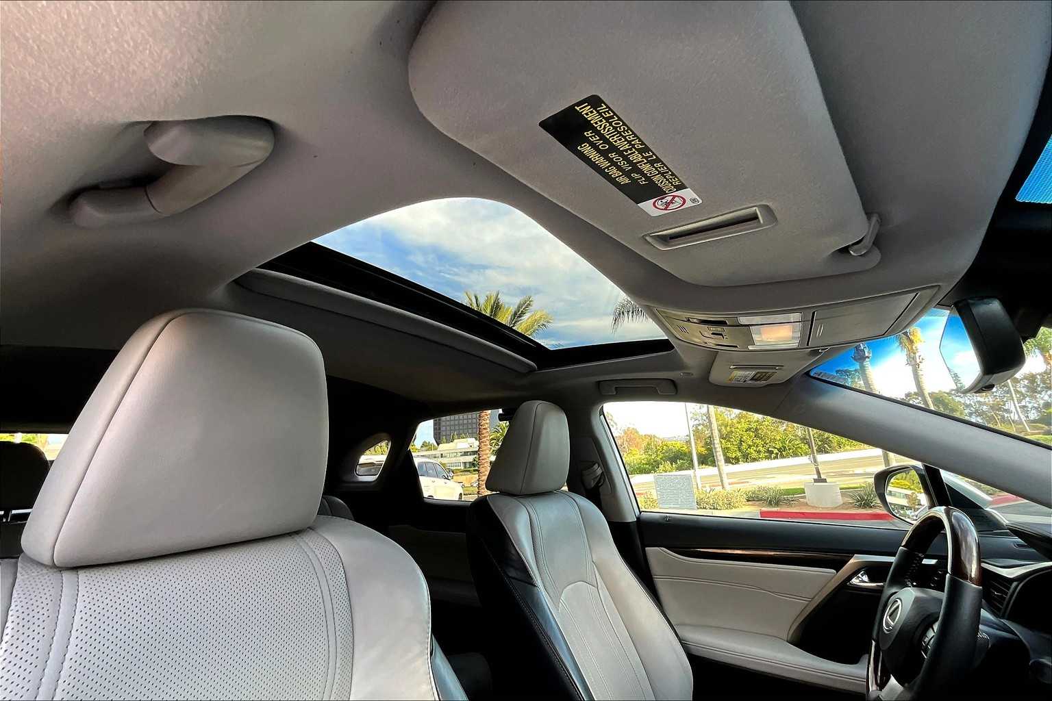 2019 Lexus RX 350 F SPORT photo 13
