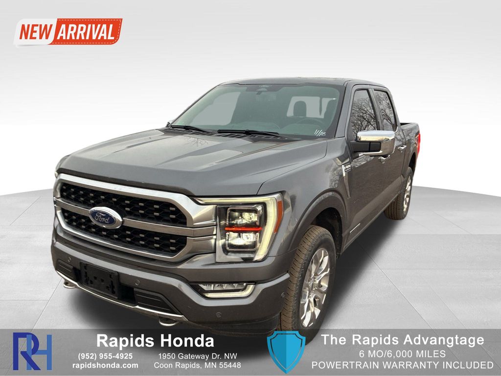 2022 Ford F-150 Platinum's photo