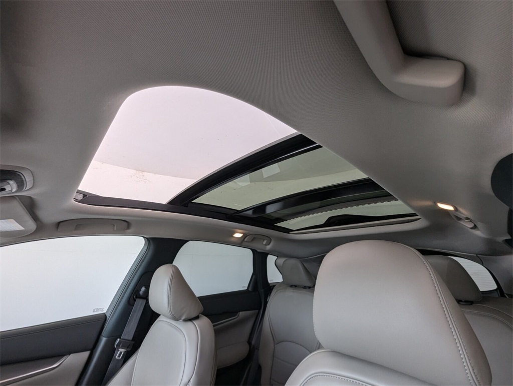 2025 Infiniti QX50 Luxe AWD photo 11