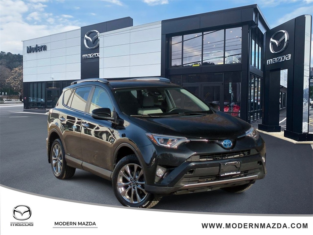 2017 Toyota RAV4 Limited's photo