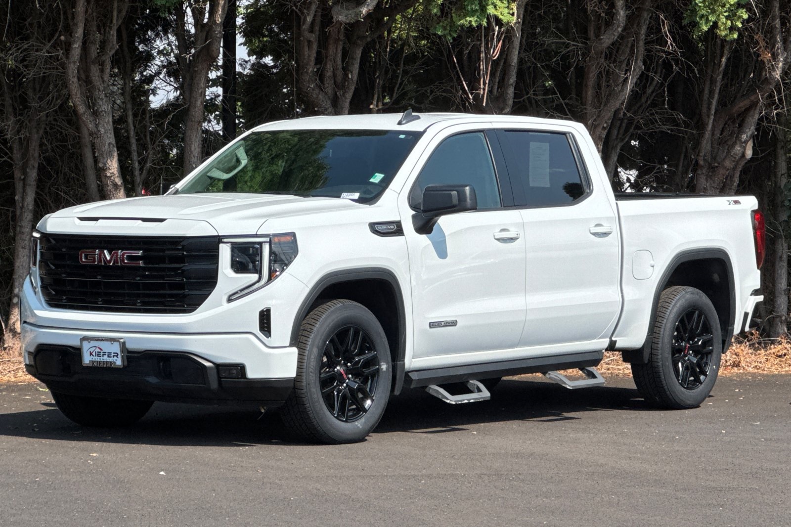 2023 Gmc Sierra 1500 Elevation photo 8