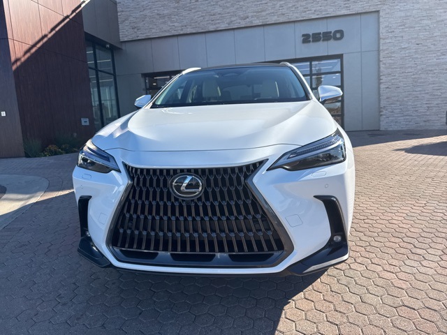 2026 Lexus NX 350 Luxury AWD photo 2